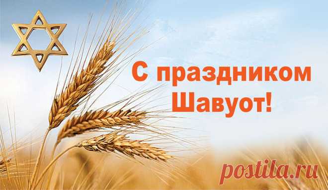 Праздник Шавуот настал,
Я вас поздравляю,
Силу в Торе отыскать
Нынче пожелаю.