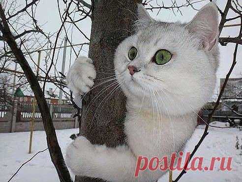 Мой Мир@Mail.Ru