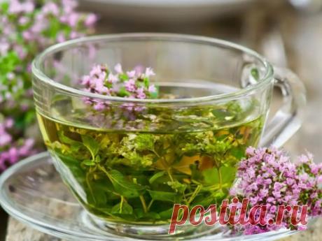 Травяной чай от десяти невзгод: как правильно заварить и пить Есть рецепт травяного чая, который помогает укреплять энергетику и защищаться от проблем и невзгод. Эксперты рассказали, что это за чай, из каких трав он состоит и как часто его нужно пить.