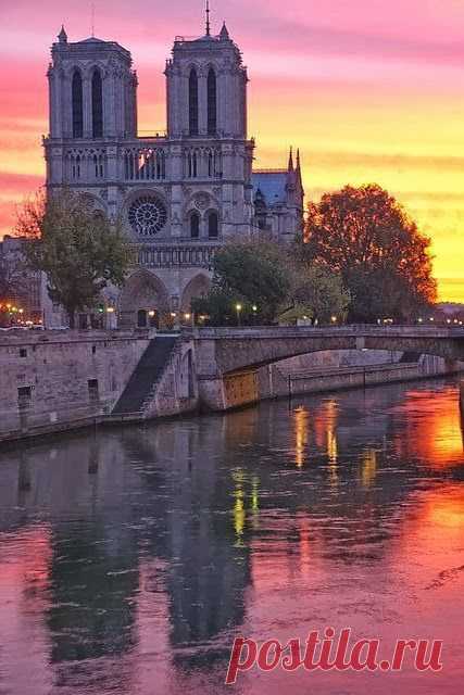 Notre-Dame Cathedral