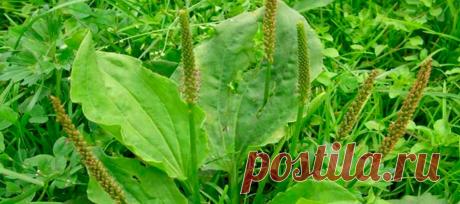 Без заголовка