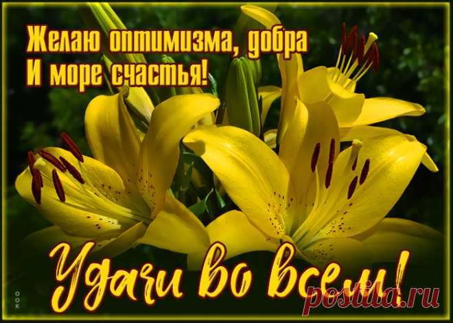 Открытка красивый букет лилий
