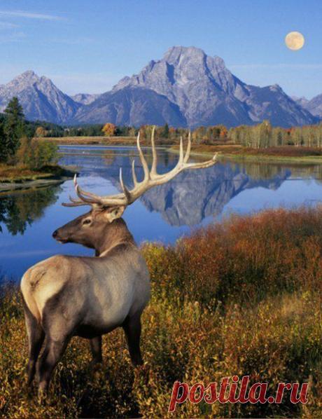 Фотографии на стене сообщества | 31 368 фотографий