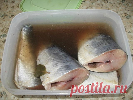 Слюнки потекли, какая вкуснота! Душистая, ароматная селедочка домашнего посола!