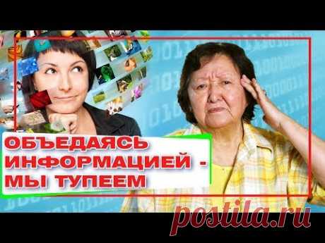 Объедаясь информацией   мы тупеем