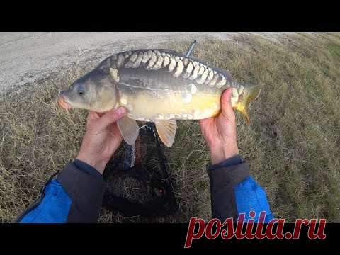 Ловля карпа на фидер. Рыбалка на карпа в ноябре. Рыбалка 2021 - YouTube