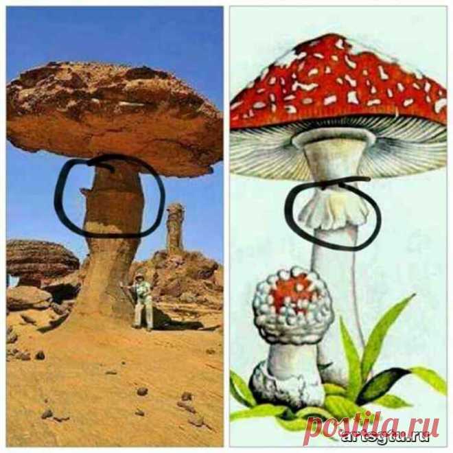 Окаменевшая предыдущая цивилизация