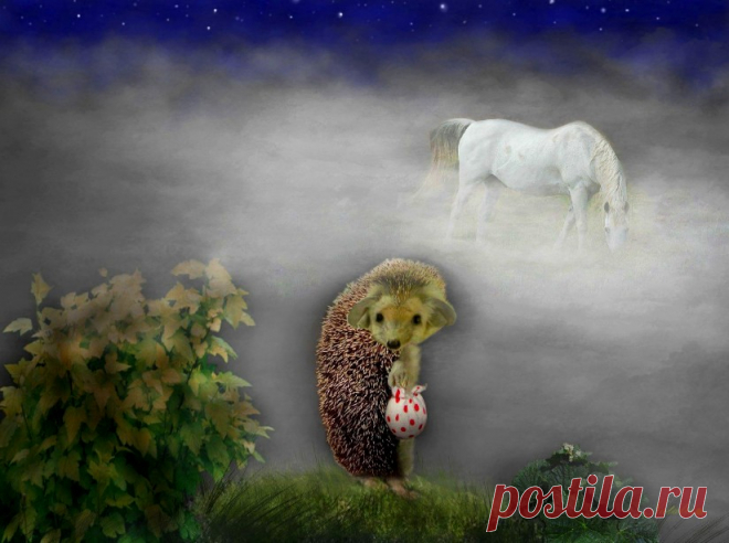 Вышел ёжик из тумана... Олег Бондаренко &raquo; Женский Мир