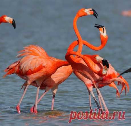 Природа.