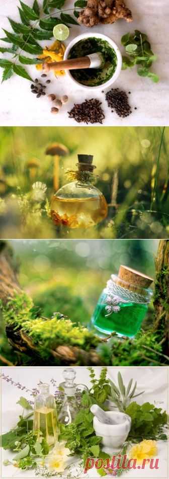 Лучшие эликсиры долголетия со всего мира | ВСЕГДА В ФОРМЕ!