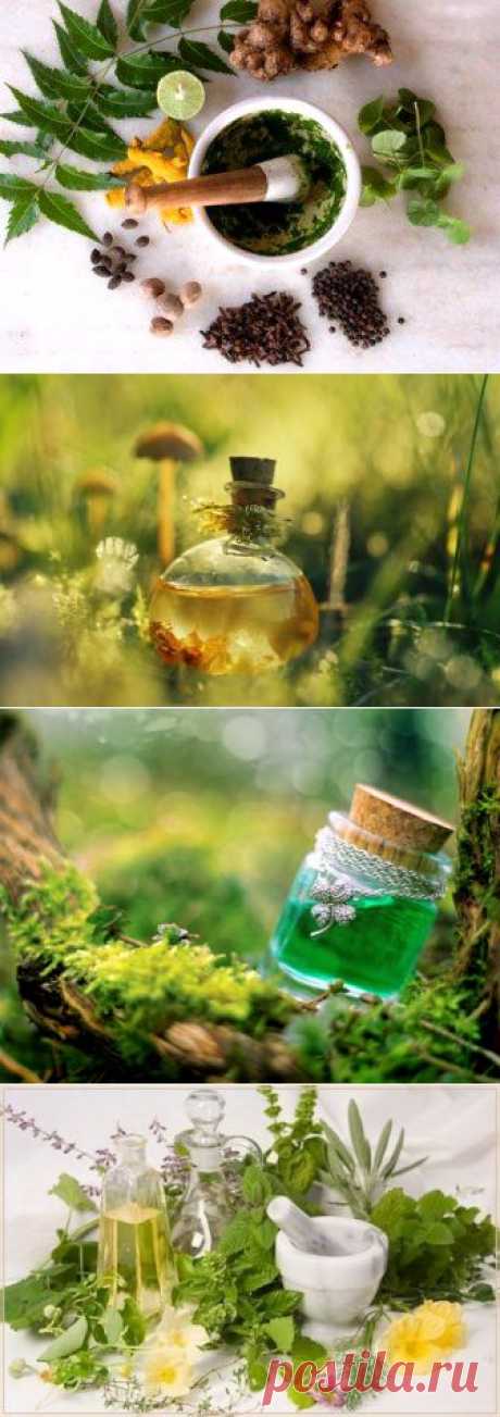 Лучшие эликсиры долголетия со всего мира | ВСЕГДА В ФОРМЕ!