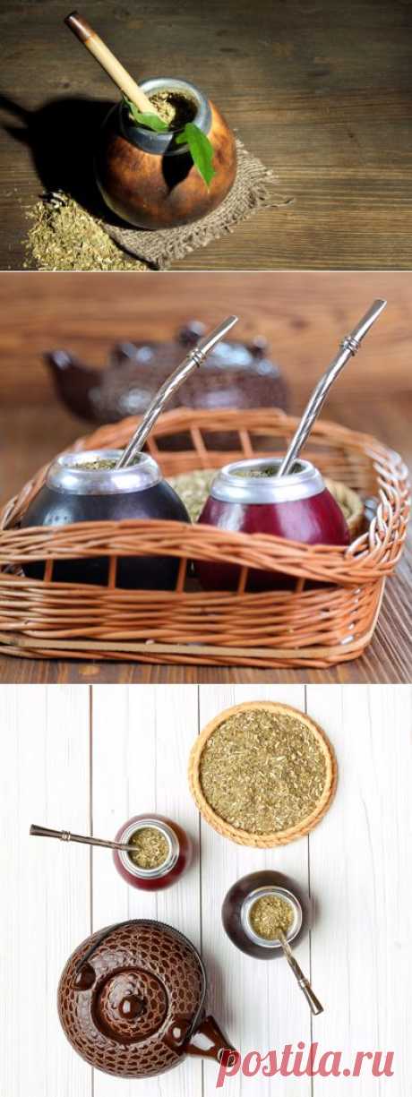 Мате — чай индейцев, инков и трудоголиков | Vegetarian.ru