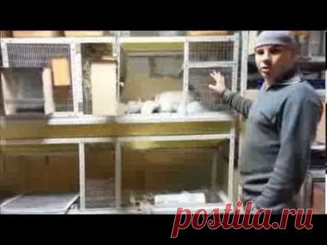 Одноклассники