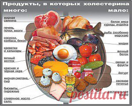 Диета при повышенном холестерине, питание при холестерине. | &amp;quot;Любите свою жизнь!&amp;quot;