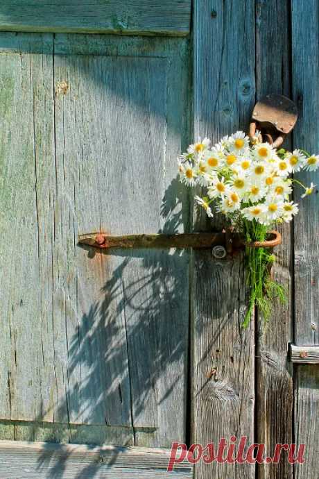 Doors & Windows in our Life ❤ – Google+