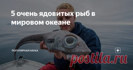 5 очень ядовитых рыб в мировом океане Во время занятий дайвингом можно встретить сотни видов морских обитателей. Но не все рыбки безопасны. Касание к некоторым может привести к травме, и даже к смерти. В большинстве случаев рыбки пугливы, стараются не приближаться к человеку. Но нужно помнить, что океан опасен. Чтобы избежать жертв, стоит знать, как выглядят 5 ядовитых рыб в океане, которые представляют реальную угрозу. Фугу: рыба, которая погубила множество людей Фугу так...