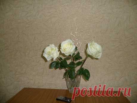 белые розы