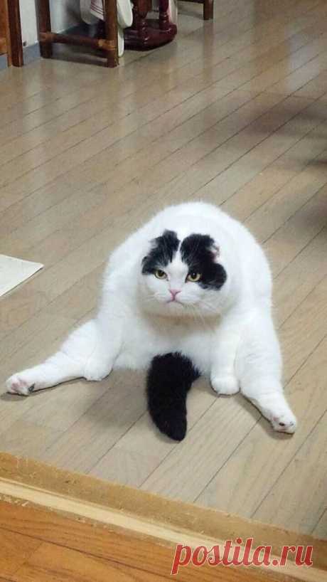 海苔 в Твиттере