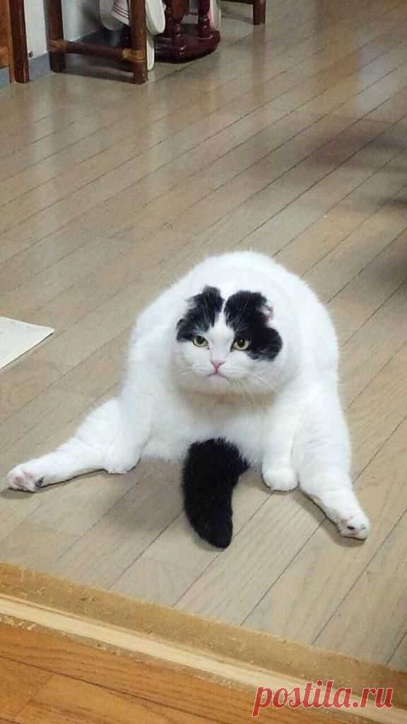 海苔 в Твиттере