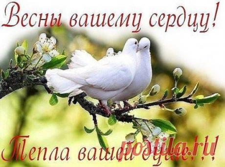 КАЖДЫЙ ЧЕЛОВЕК ИМЕЕТ ПРАВО НА СЧАСТЬЕ, МИРА И ДОБРА ВАМ ВСЕМ, МОИ ДОРОГИЕ, ПРИБЛИЖАЕТСЯ НОВЫЙ ГОД, ТАК ПУСТЬ ОН БУДЕТ СЧАСТЛИВЫМ..А ПЛОХОЕ ОСТАВИМ В СТАРОМ..А ТЕМ КТО ХОЧЕТ РЕАЛЬНЫЙ ПЕРЕМЕН..ЧИТАЙТЕ МОЙ СТАТУС И ПИШИТЕ МНЕ В ЛИЧКУ..ФИО ДАТУ И ПРОБЛЕМУ, ЧТО БЕСПОКОИТ, МНОГИЕ ГОДЫ ПОМОГАЮ НА РАССТОЯНИИ ЛЮДЯМ, СПЕЦИАЛИЗИРУЮСЬ НА СЕМЕЙНЫХ, ЛЮБОВНЫХ ПРОБЛЕМАХ...ПОМОГУ И ВАМ,КТО НЕ ВЕРИТ, НЕ БЕСПОКОИТЬ... ВСЕ ВОПРОСЫ В ЛИЧКЕ-В СТАТУСЕ ПОДРОБНЕЕ, ПРОСТО НАПИШИТЕ..СЧАСТЬЕ БЛИЗКО.