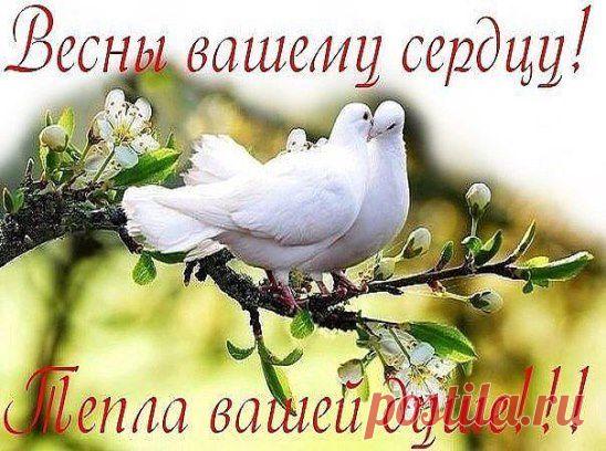 КАЖДЫЙ ЧЕЛОВЕК ИМЕЕТ ПРАВО НА СЧАСТЬЕ, МИРА И ДОБРА ВАМ ВСЕМ, МОИ ДОРОГИЕ, ПРИБЛИЖАЕТСЯ НОВЫЙ ГОД, ТАК ПУСТЬ ОН БУДЕТ СЧАСТЛИВЫМ..А ПЛОХОЕ ОСТАВИМ В СТАРОМ..А ТЕМ КТО ХОЧЕТ РЕАЛЬНЫЙ ПЕРЕМЕН..ЧИТАЙТЕ МОЙ СТАТУС И ПИШИТЕ МНЕ В ЛИЧКУ..ФИО ДАТУ И ПРОБЛЕМУ, ЧТО БЕСПОКОИТ, МНОГИЕ ГОДЫ ПОМОГАЮ НА РАССТОЯНИИ ЛЮДЯМ, СПЕЦИАЛИЗИРУЮСЬ НА СЕМЕЙНЫХ, ЛЮБОВНЫХ ПРОБЛЕМАХ...ПОМОГУ И ВАМ,КТО НЕ ВЕРИТ, НЕ БЕСПОКОИТЬ... ВСЕ ВОПРОСЫ В ЛИЧКЕ-В СТАТУСЕ ПОДРОБНЕЕ, ПРОСТО НАПИШИТЕ..СЧАСТЬЕ БЛИЗКО.