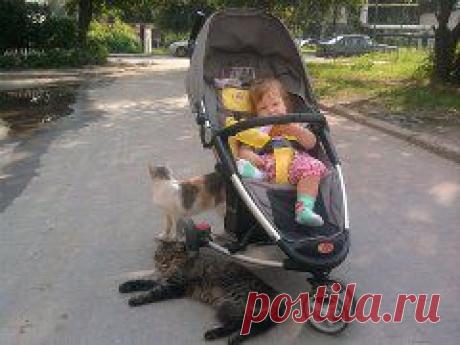 Разное
