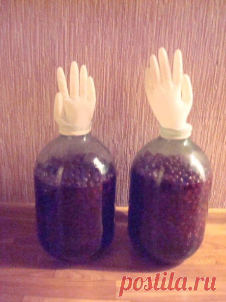Вишнёвка : Люблю готовить