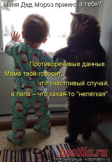 Веселая котоматрица (32 фото)