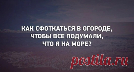 Svetlana Bolotova - Google+