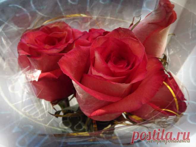 Гороскоп с 21 по 27 февраля 2022 | Астропропаганда | Яндекс Дзен
✨ Автор: астролог Нина Стрелкова. ✧ Марс и Венера делают гармоничные аспекты к Нептуну. Точный аспект Марса к Нептуну будет в среду, 23 февраля, а точный аспект к Нептуну Венеры ожидается в четверг, 24 февраля. Аспект Марса и Нептуна благоприятствует творческой деятельности, усиливает воображение и интуитивные способности, дар предчувствия, который может помочь выйти из трудной ситуации или не попасть в нее, избежать опасности...