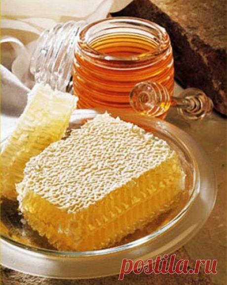 Всё про мёд | Подружки