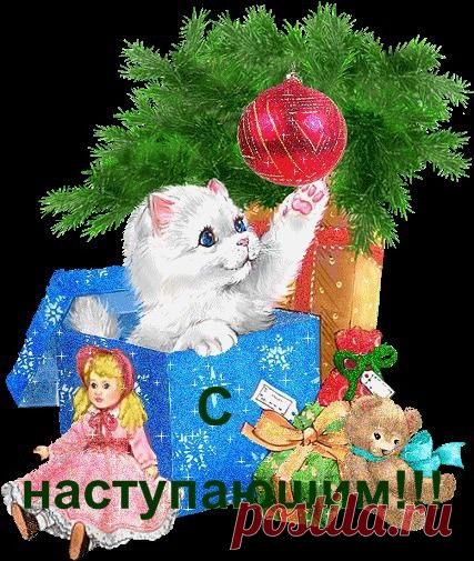 НОВОГОДНИЙ - 50 фото. Фотографии zoja simonova.