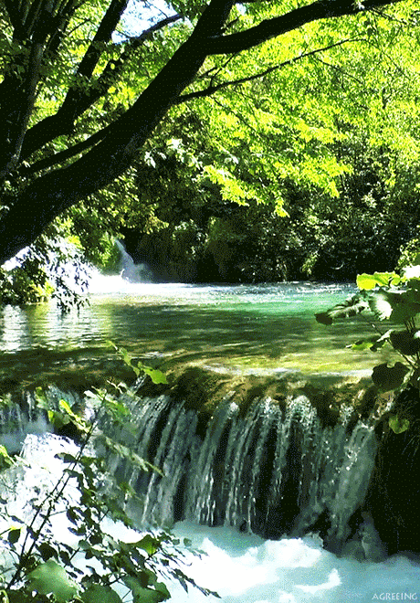 Good morning amici.con this wonderful spectacle that nature offers us. ..