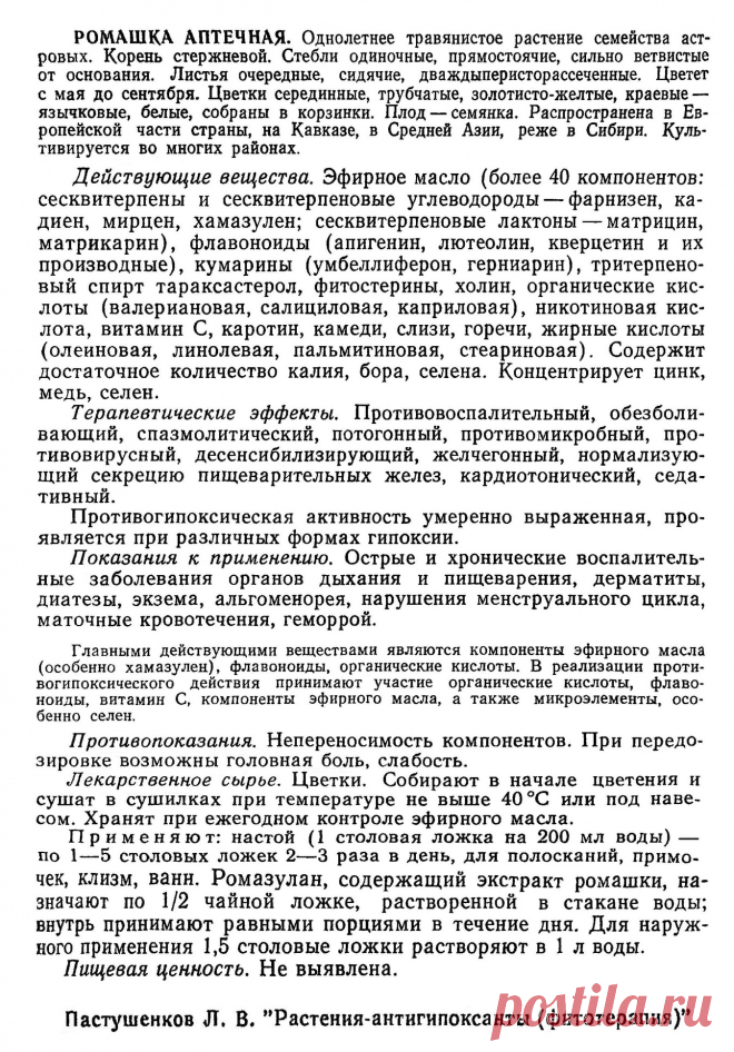 Ромашка аптечная