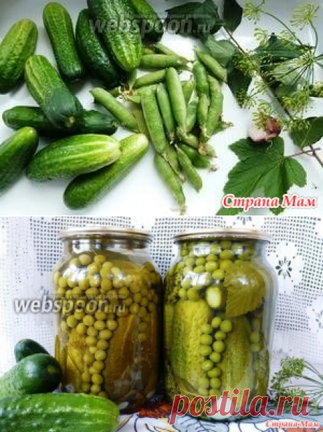 Заготовка «Для оливье» на зиму - Вкусно - это просто!!! - Страна Мам