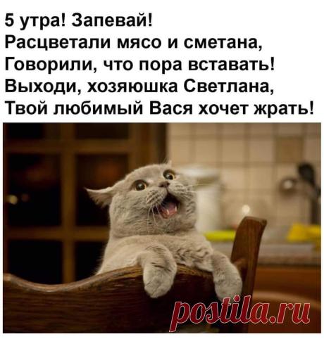 В 5 утра