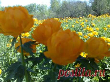 Восточный Казахстан