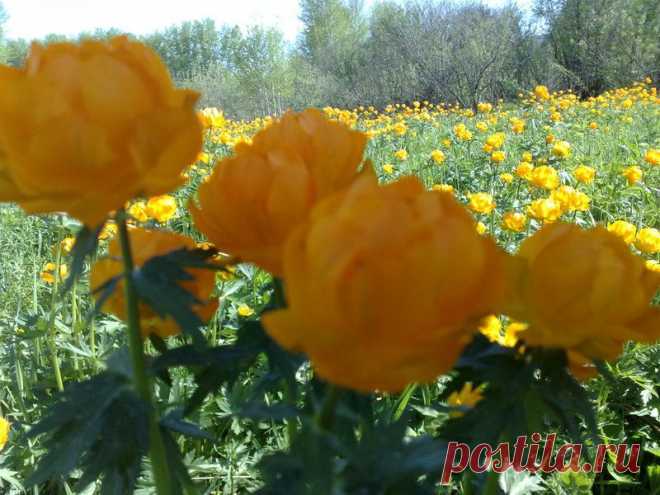 Восточный Казахстан