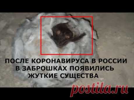 ЖУТКОЕ СУЩЕСТВО В ЗАБРОШКАХ ПОСЛЕ КОРОНАВИРУС В РОССИИ! В Заброшках нашли странное существо, оно пряталось в коконе. кокон большой покрыт белым пухом там внутри был какое то неизвестное существо. это инопланетное существо