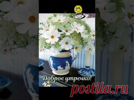 ДОБРОЕ УТРО! СОЛНЕЧНОГО ДНЯ! #доброеутро #солнечногодня