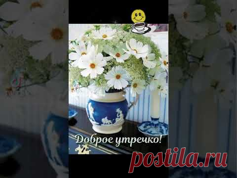 ДОБРОЕ УТРО! СОЛНЕЧНОГО ДНЯ! #доброеутро #солнечногодня