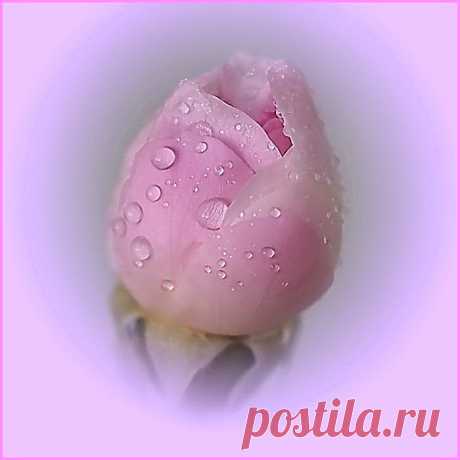 Сергей Васильевич Рахманинов.