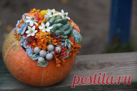 Друзья! С 23 сентября в нашей школе начинается базовый курс флорист-дизайнер 2 года за один. Не пропустите! А с 08 сентября подготовительный курс дневное отделение, очень удобно для последующего поступления на базовый курс. www.laflora.ru