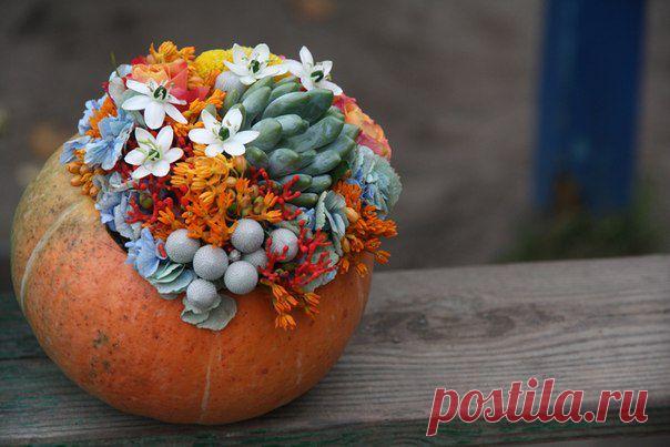 Друзья! С 23 сентября в нашей школе начинается базовый курс флорист-дизайнер 2 года за один. Не пропустите! А с 08 сентября подготовительный курс дневное отделение, очень удобно для последующего поступления на базовый курс. www.laflora.ru