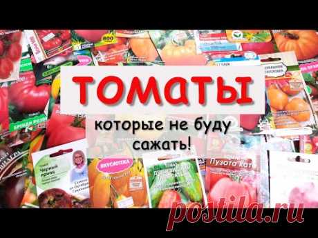 🍅Какие ТОМАТЫ я больше НЕ БУДУ САЖАТЬ!
