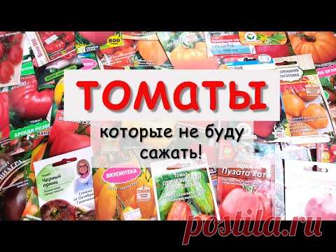 🍅Какие ТОМАТЫ я больше НЕ БУДУ САЖАТЬ!