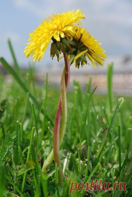 28 Апреля 2018 г. – Суббота • Международный день ветеринарного врача (World Veterinary Day) • Всемирный день Тайцзицюань и Цигун • Международный день настольных игр (International Tabletop Day) • День работников скорой медицинской помощи • День молодых и зеленых • Всемирный день охраны труда29 лет • День космического туриста • День рождения воздушного кондиционера104 года • День химической безопасности21 год • День контрольно-ревизионной службы МВД РФ16 лет • День шифровальной службы МВД РФ •…