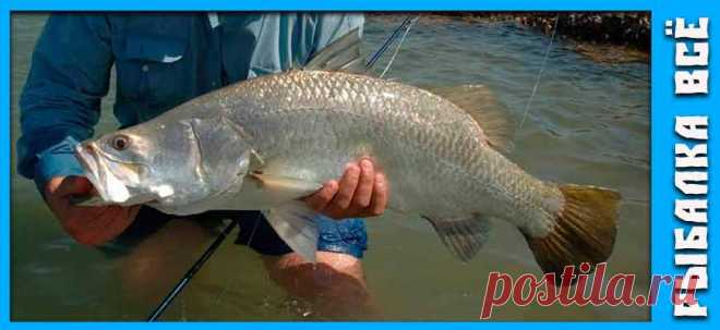 На рыбалке в Таиланде - fishing-all.ru