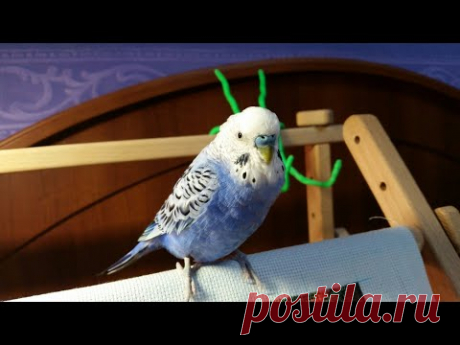 149 Вышивальная неделя с 26 марта по 1 апреля/Продолжаем тестировать БОС/Гаврик занял станок