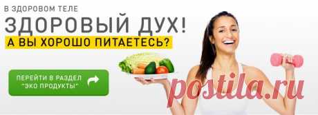 Econix Trading Corporation - Интернет-магазин